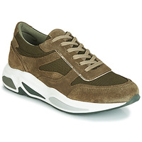 Shoes Women Low top trainers André ROLLO Green