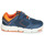 Shoes Boy Low top trainers Geox FLEXYPER Navy