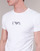 Clothing Men Short-sleeved t-shirts Emporio Armani CC715-PACK DE 2 White