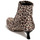 Shoes Women Ankle boots Katy Perry THE BRIDGETTE Leopard