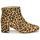 Shoes Women Ankle boots Clarks SHEER FLORA Leopard