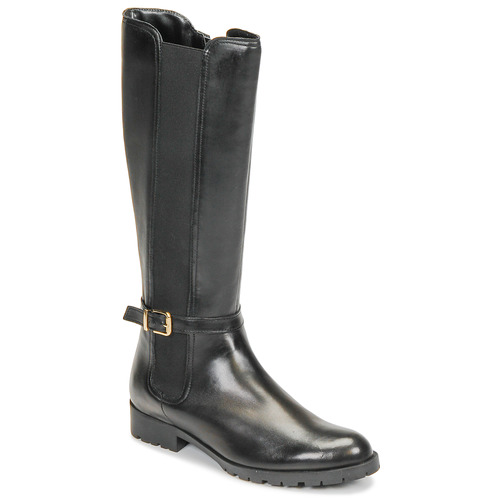 Shoes Women High boots André ELODIE Black