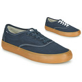 Element  PASSIPH  mens Shoes (Trainers) in Blue