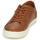 Shoes Men Low top trainers Levi's WOODWARD Brown