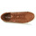 Shoes Men Low top trainers Levi's WOODWARD Brown