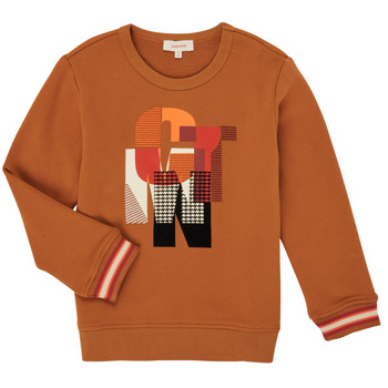 Clothing Boy Sweaters Catimini CR15024-63-C Brown