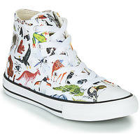 Shoes Children Hi top trainers Converse CHUCK TAYLOR ALL STAR - SCIENCE CLASS White / Multicolour