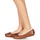 Shoes Women Flat shoes Clarks FRECKLE ICE Brown