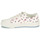 Shoes Women Low top trainers Levi's SUMMIT LOW S White