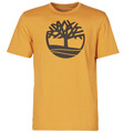 Timberland  SS KENNEBEC RIVER BRAND TREE TEE  mens T shirt in Beige
