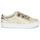 Shoes Women Low top trainers No Name ARCADE STRAPS Gold