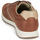 Shoes Men Low top trainers Geox U AVERY B Brown