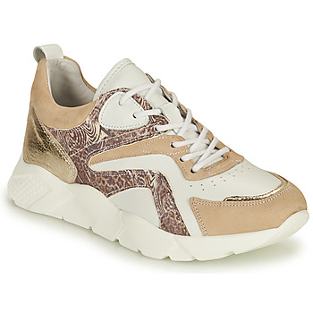 Shoes Women Low top trainers Philippe Morvan VOOX V1 White / Beige