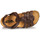 Shoes Boy Sandals Citrouille et Compagnie JANISOL Brown / Dark