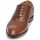 Shoes Men Brogues Pellet ALEX Veal / Brown