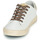 Shoes Women Low top trainers Le Temps des Cerises AUSTIN White / Gold