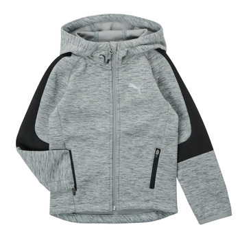 Clothing Boy Sweaters Puma EVOSTRIPE FZ HOODED JACKET Grey