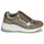 Shoes Women Low top trainers Xti 43124 Brown / Bronze
