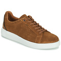 Pellet  OSCAR  mens Shoes (Trainers) in Brown