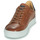 Shoes Men Low top trainers Pellet ORSON Veal / Brown