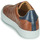 Shoes Men Low top trainers Pellet ORSON Veal / Brown