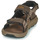 Shoes Men Outdoor sandals Columbia Trailstorm Hiker 3 Strap Brown