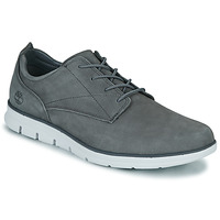 Shoes Men Low top trainers Timberland BRADSTREET Grey