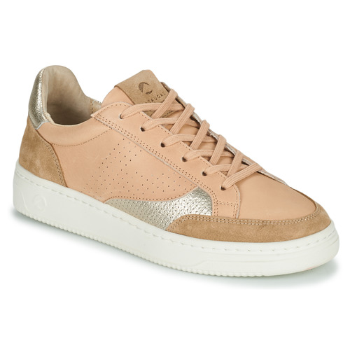 Shoes Women Low top trainers Pataugas BASALT Beige / Gold