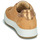 Shoes Women Low top trainers IgI&CO 1659033 Camel