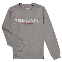 Clothing Boy Sweaters Teddy Smith S-MICKE Grey