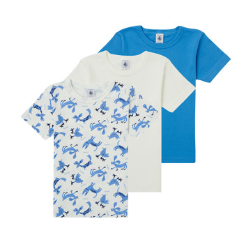 Clothing Boy Short-sleeved t-shirts Petit Bateau ADRIAN Multicolour