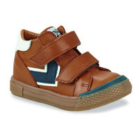 Shoes Boy Hi top trainers GBB DAVAD Brown