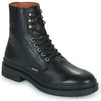 Shoes Men Mid boots Pellet JONAS Veal / Black