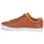 Shoes Men Low top trainers Fred Perry BASELINE LEATHER Brown