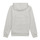 Clothing Boy Sweaters Levi's BATWING PRINT HOODIE White