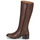 Shoes Women High boots Betty London GESSIE Brown