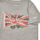 Clothing Boy Short-sleeved t-shirts Pepe jeans FLAG LOGO JR S/S N Grey