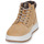 Shoes Men Hi top trainers Timberland MAPLE GROVE LTHR CHK Beige / Brown / White