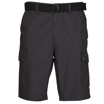 Clothing Men Shorts / Bermudas Oxbow P10RAGO Grey / Dark