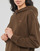 Clothing Women Sweaters Levi's STANDARD HOODIE Brown