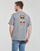 Clothing Men Short-sleeved t-shirts Patagonia M'S FITZ ROY WILD RESPONSIBILI-TEE Grey