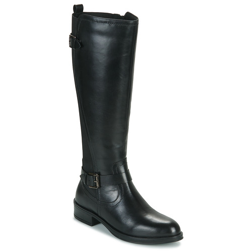 Shoes Women High boots Ravel MAY Black