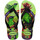 Shoes Flip flops Havaianas IPE Green