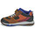 Shoes Boy Hi top trainers Clarks STEGGY STOMP K Multicolour