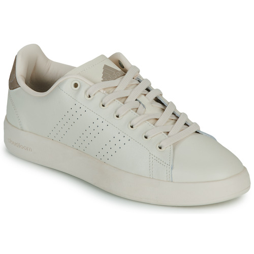 Shoes Low top trainers Adidas Sportswear ADVANTAGE PREMIUM Beige / Taupe