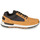 Shoes Men Low top trainers Timberland KILLINGTON TREKKER F/L LOW Beige
