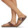 Shoes Women Flip flops Birkenstock GIZEH BIG BUCKLE Brown