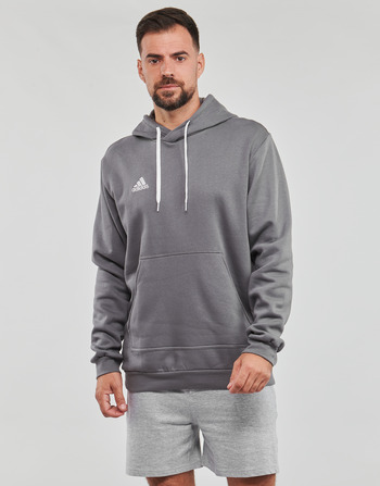 Clothing Men Sweaters adidas Performance ENT22 HOODY Grey