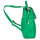 Bags Women Rucksacks Desigual MACHINA SUMY Green