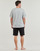 Clothing Men Short-sleeved t-shirts Tommy Hilfiger TH ESTABLISHED Grey